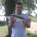 ���������� ��������, ���� ������� �������, 48 ���, ������������ ��� ������