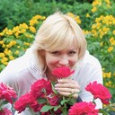 ���������� ������, ���� ������� ����, 56 ���, ������������ ��� ����� � ���������, c�������� ���������