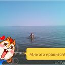  -,   , 44 ,   , 