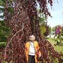  ,   , 79 ,   ,   