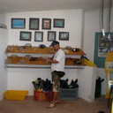  ,   Ahmet, 49 ,   ,   , c 