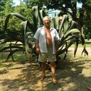 ���������� �����������, ���� ������� �������, 70 ���, ������������ ��� c�������� ���������