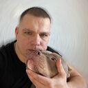 ���������� �����-���������, ���� ������� �����, 40 ���, ������������ ��� ������, ����� � ���������, c�������� ���������, ���������