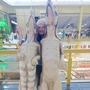 ���������� �������, ���� ������� �������, 52 ����, ������������ ��� ������, ����� � ���������, c�������� ���������