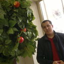 ���������� ������, ���� ������� 870777777777, 36 ���, ������������ ��� ���������