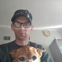 ���������� �������, ���� ������� ��������, 43 ����, ������������ 