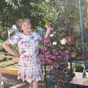  ,   , 66 ,     , c , 