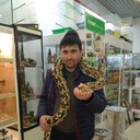 ���������� ���������, ���� ������� �����, 44 ����, ������������ ��� ������, ����� � ���������, c�������� ���������