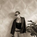 ���������� ����, ���� ������� ���������, 29 ���, ������������ ��� ������, ����� � ���������