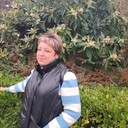 ���������� �����, ���� ������� �����, 43 ����, ������������ ��� c�������� ���������