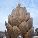 ���������� ������-��-����, ���� ������� �����, 31 ���, ������������ ��� ������, ����� � ���������