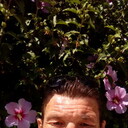 ���������� �����������, ���� ������� �������, 48 ���, ������������ ��� ������, ����� � ���������, c�������� ���������