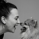 ���������� �����-���������, ���� ������� �����, 41 ���, ������������ ��� ����� � ���������