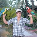 ���������� ���������, ���� ������� �����, 38 ���, ������������ ��� ������, ����� � ���������, c�������� ���������