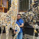 ���������� ����, ���� ������� ��������, 43 ����, ������������ ��� ������, ����� � ���������, c�������� ���������