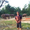 ���������� ������������, ���� ������� ������, 50 ���, ������������ ��� ������