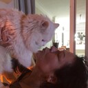 ���������� ������, ���� ������� �������, 63 ����, ������������ ��� ������, ���������