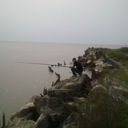 ���������� �������, ���� ������� Anzori, 37 ���, ������������ ��� ������, ����� � ���������, c�������� ���������