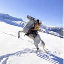 ���������� ��������, ���� ������� �����, 31 ���, ������������ ��� ������, ����� � ���������