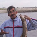 ���������� ���������, ���� ������� �������, 62 ����, ������������ ��� ������, ����� � ���������, c�������� ���������, ���������