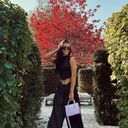 ���������� �����������, ���� ������� ���������, 29 ���, ������������ ��� ������, ����� � ���������