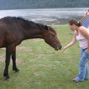 ���������� �����-���������, ���� ������� �����, 45 ���, ������������ ��� ������, ����� � ���������, c�������� ���������