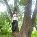 ���������� ���������, ���� ������� ������, 39 ���, ������������ ��� ������, ����� � ���������, c�������� ���������