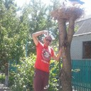 ���������� ��������, ���� ������� �����, 43 ����, ������������ ��� ������, ����� � ���������, c�������� ���������