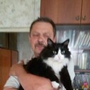  ,    , 66 ,   ,   