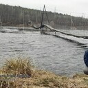 ���������� ��������, ���� ������� ������, 46 ���, ������������ ��� ������, ����� � ���������, c�������� ���������, ���������