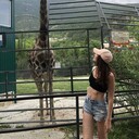 ���������� �����-���������, ���� ������� �������, 42 ����, ������������ ��� c�������� ���������