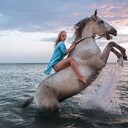 ���������� ������, ���� ������� ���������, 33 ����, ������������ ��� ����� � ���������, c�������� ���������