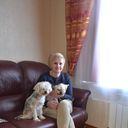 ���������� ������, ���� ������� �������, 65 ���, ������������ 