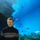  ,   ALEKS, 54 ,     , c 