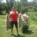 ���������� ������, ���� ������� �����, 38 ���, ������������ 