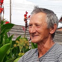  ,   , 66 ,     , c 
