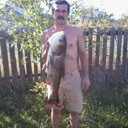  ,   , 51 ,   