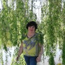  ,   , 53 ,     , c 