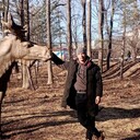 ���������� �����������, ���� ������� ����, 33 ����, ������������ 