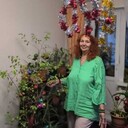   ,   , 62 ,   ,   