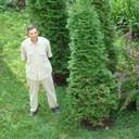  -,   , 74 ,   ,   , c 