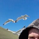  -,   Zhigan, 28 ,   ,   , c 