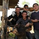 ���������� ������, ���� ������� ���, 45 ���, ������������ ��� ������, ����� � ���������, c�������� ���������