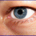 ���������� ���������, ���� ������� �����, 45 ���, ������������ ��� ������, ����� � ���������, c�������� ���������