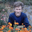  ,   , 59 ,  