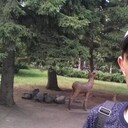 ���������� �����������, ���� ������� ������, 43 ����, ������������ ��� ������, ����� � ���������, c�������� ���������