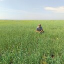 ���������� ������, ���� ������� �������, 38 ���, ������������ ��� c�������� ���������, ���������