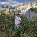 ���������� ���������, ���� ������� ��� ���, 45 ���, ������������ ��� ������, ����� � ���������