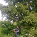 ���������� ���������� �����, ���� ������� �����, 52 ����, ������������ ��� ������, ����� � ���������, c�������� ���������