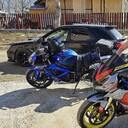 ���������� �����������, ���� ������� �����, 37 ���, ������������ ��� ������, ����� � ���������